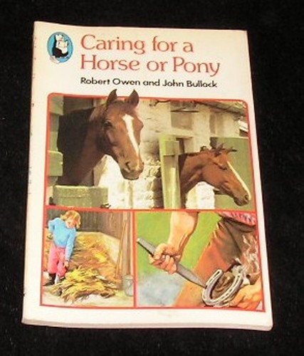 Caring for horse pony - a,