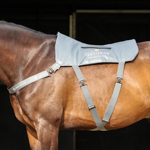 Equilibrium equestrian pferd - equilibrium,