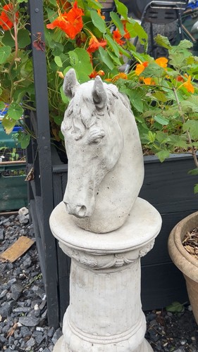 Stein pferdekopf statue cm - statue, 33