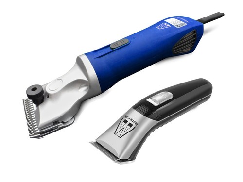 Masterclip hunter - masterclip,