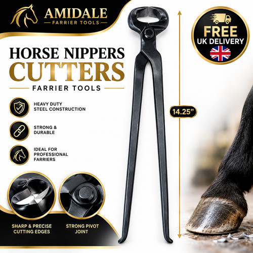 Amidale pferd hufzange - pferd,