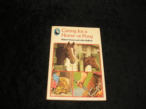 Caring for horse pony - for,